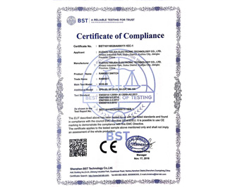 拉姆齊開關歐盟CE強制認證-1EC-1
